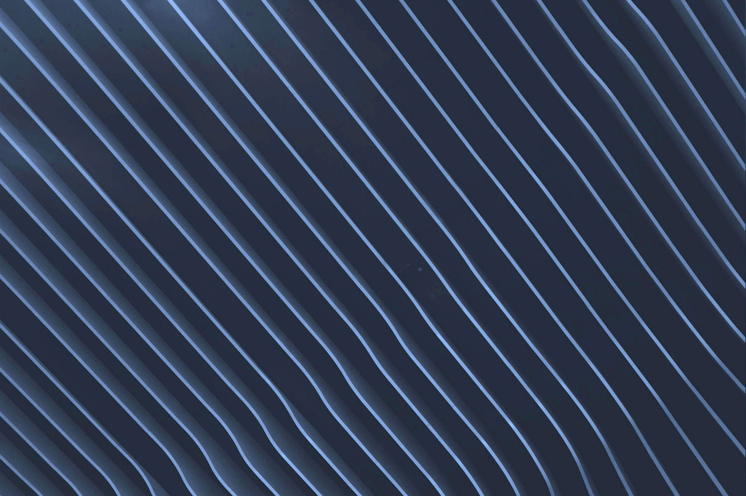 Untitled-1.jpg