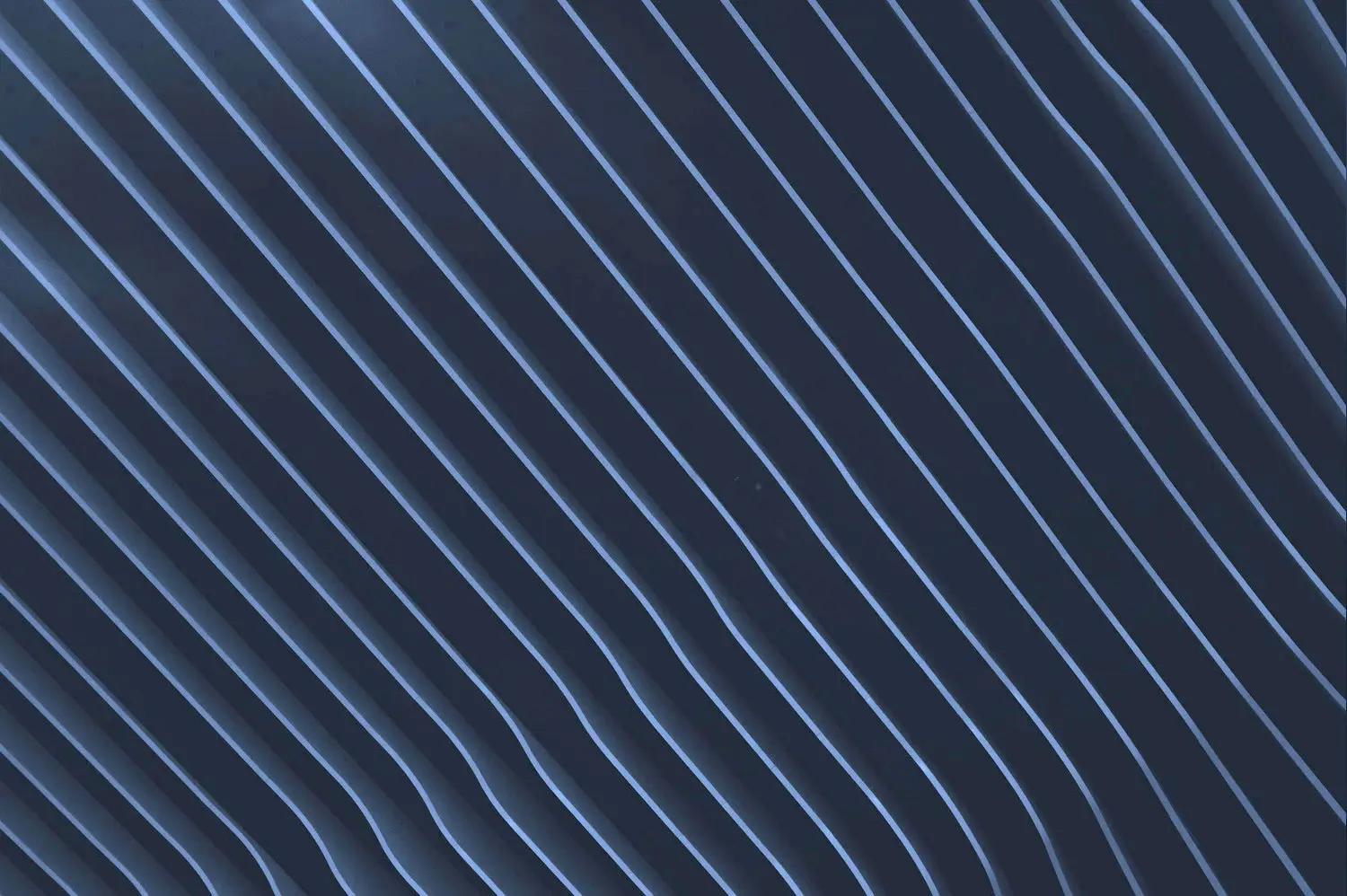 Untitled-1.webp